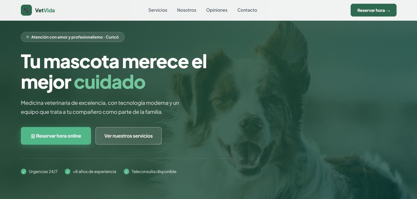 diseño web para veterinaria con sistema de reservas online Chile