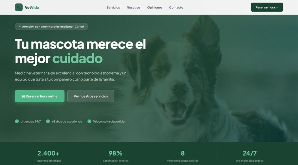 diseño web para veterinaria con sistema de reservas online Chile